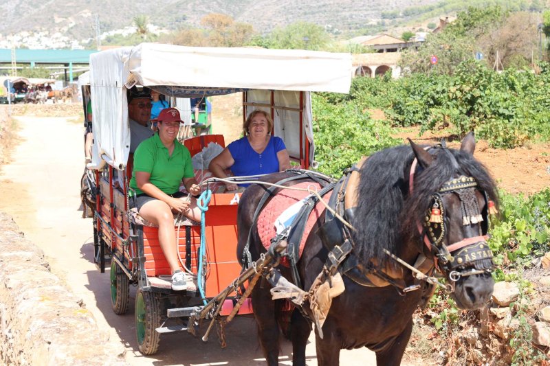 La presentació i l’entrada de la murta aporten l’ambient a l’arranc de les festes de Llíber La presentació i l’entrada de la murta aporten l’ambient a l’arranc de les festes de Llíber